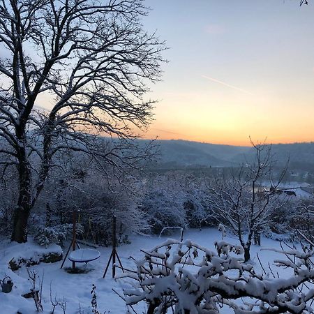 Ueber Den Daechern Von Koblenz - Aussichts-Wohnung Naturpark Rheinblick, Ruhig, Zentrumsnah, Sport-Pool Εξωτερικό φωτογραφία