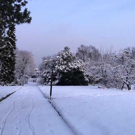 Ueber Den Daechern Von Koblenz - Aussichts-Wohnung Naturpark Rheinblick, Ruhig, Zentrumsnah, Sport-Pool Εξωτερικό φωτογραφία
