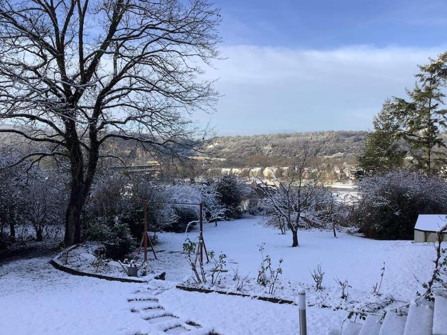 Ueber Den Daechern Von Koblenz - Aussichts-Wohnung Naturpark Rheinblick, Ruhig, Zentrumsnah, Sport-Pool Εξωτερικό φωτογραφία