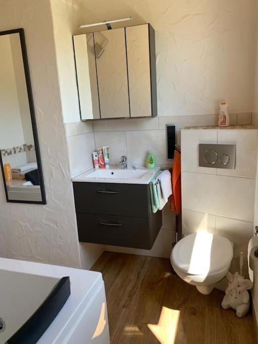 Ueber Den Daechern Von Koblenz - Aussichts-Wohnung Naturpark Rheinblick, Ruhig, Zentrumsnah, Sport-Pool Εξωτερικό φωτογραφία