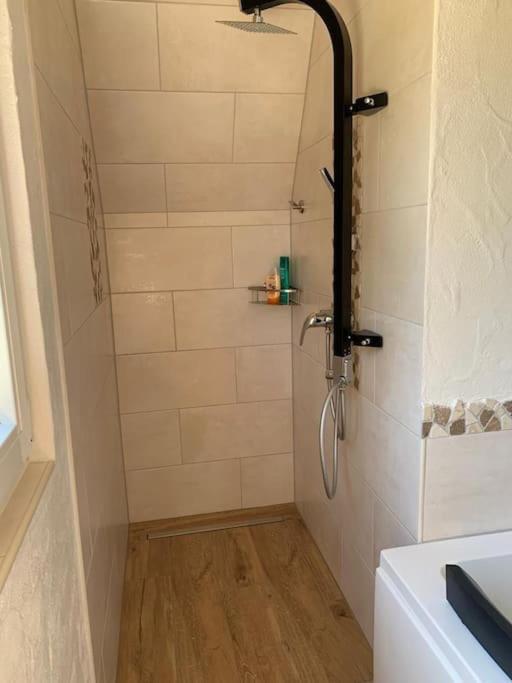 Ueber Den Daechern Von Koblenz - Aussichts-Wohnung Naturpark Rheinblick, Ruhig, Zentrumsnah, Sport-Pool Εξωτερικό φωτογραφία