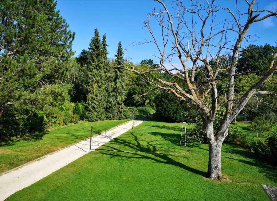 Ueber Den Daechern Von Koblenz - Aussichts-Wohnung Naturpark Rheinblick, Ruhig, Zentrumsnah, Sport-Pool Εξωτερικό φωτογραφία