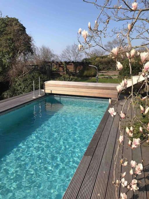 Ueber Den Daechern Von Koblenz - Aussichts-Wohnung Naturpark Rheinblick, Ruhig, Zentrumsnah, Sport-Pool Εξωτερικό φωτογραφία