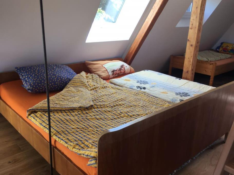 Ueber Den Daechern Von Koblenz - Aussichts-Wohnung Naturpark Rheinblick, Ruhig, Zentrumsnah, Sport-Pool Εξωτερικό φωτογραφία