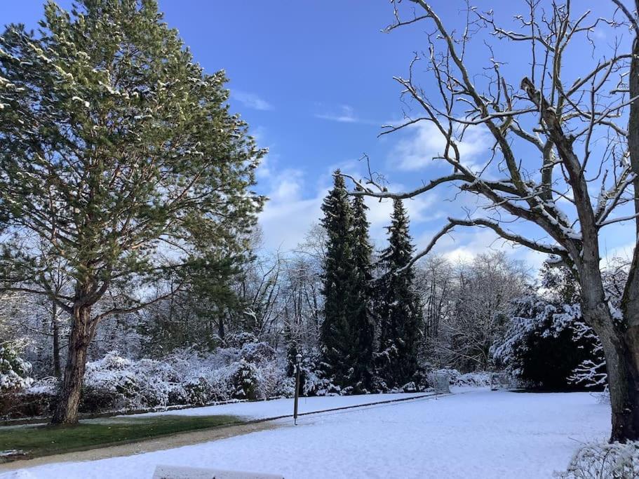 Ueber Den Daechern Von Koblenz - Aussichts-Wohnung Naturpark Rheinblick, Ruhig, Zentrumsnah, Sport-Pool Εξωτερικό φωτογραφία