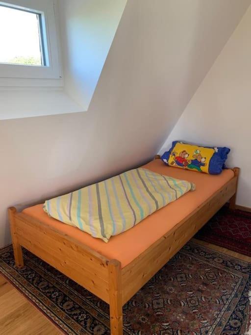 Ueber Den Daechern Von Koblenz - Aussichts-Wohnung Naturpark Rheinblick, Ruhig, Zentrumsnah, Sport-Pool Εξωτερικό φωτογραφία