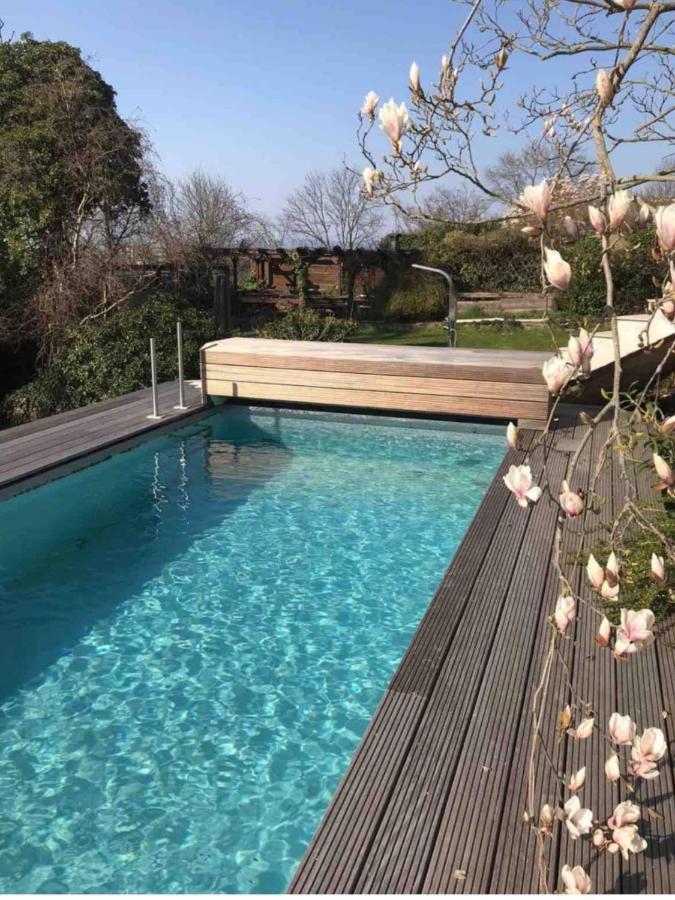 Ueber Den Daechern Von Koblenz - Aussichts-Wohnung Naturpark Rheinblick, Ruhig, Zentrumsnah, Sport-Pool Εξωτερικό φωτογραφία