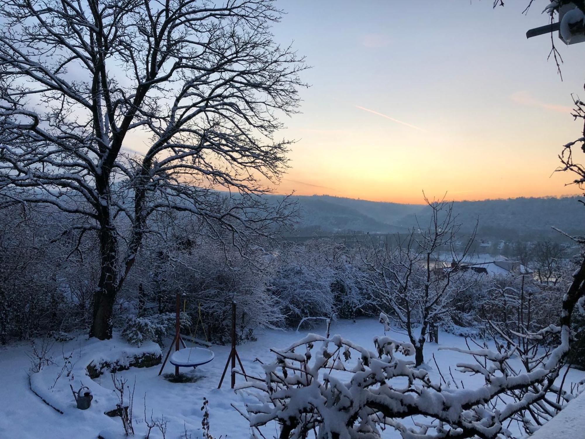 Ueber Den Daechern Von Koblenz - Aussichts-Wohnung Naturpark Rheinblick, Ruhig, Zentrumsnah, Sport-Pool Εξωτερικό φωτογραφία