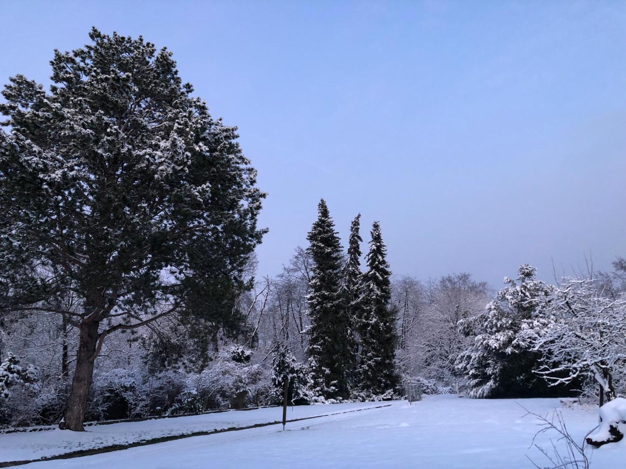 Ueber Den Daechern Von Koblenz - Aussichts-Wohnung Naturpark Rheinblick, Ruhig, Zentrumsnah, Sport-Pool Εξωτερικό φωτογραφία
