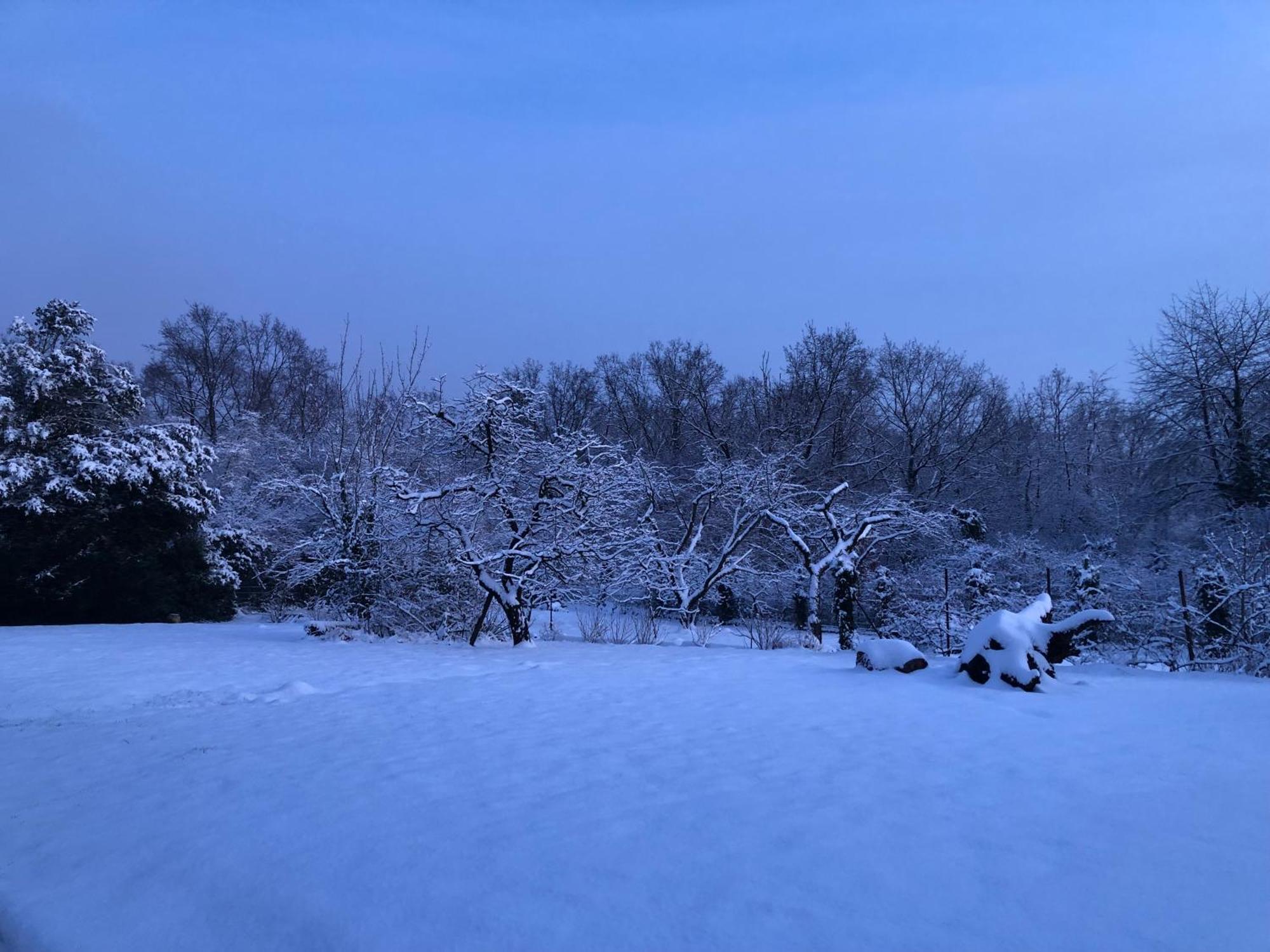 Ueber Den Daechern Von Koblenz - Aussichts-Wohnung Naturpark Rheinblick, Ruhig, Zentrumsnah, Sport-Pool Εξωτερικό φωτογραφία
