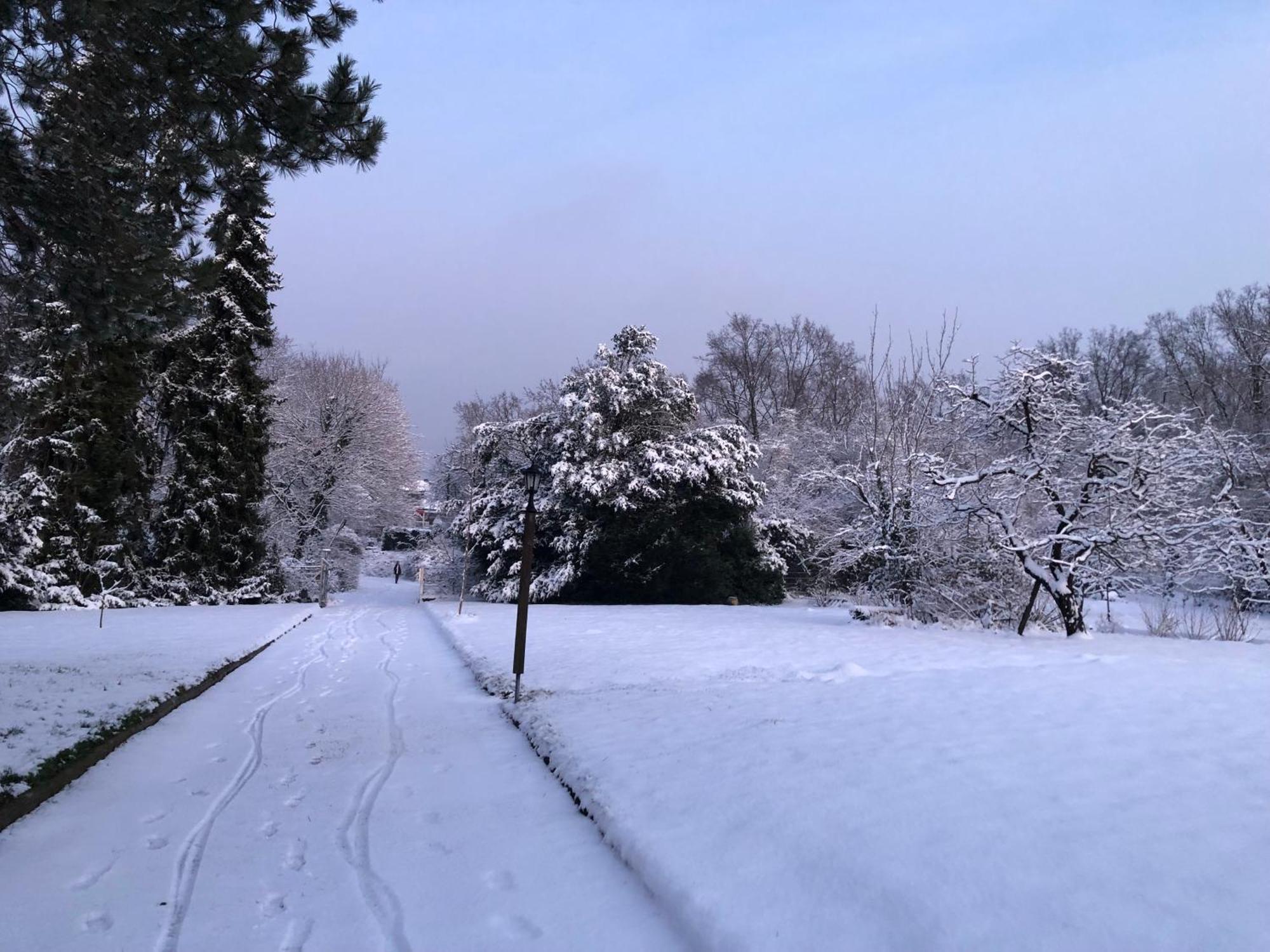 Ueber Den Daechern Von Koblenz - Aussichts-Wohnung Naturpark Rheinblick, Ruhig, Zentrumsnah, Sport-Pool Εξωτερικό φωτογραφία